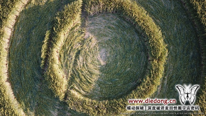 2020年5月31日英国Handley Hill麦田怪圈