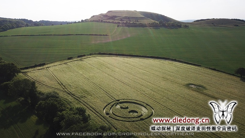 2020年5月30日英国Mid Wilts Way麦田怪圈