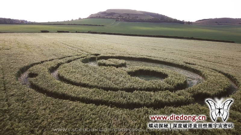 2020年5月30日英国Mid Wilts Way麦田怪圈