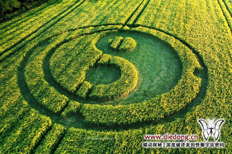 2020年5月30日英国Mid Wilts Way麦田怪圈