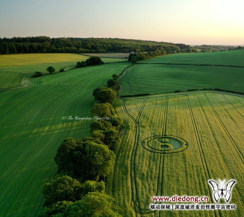 2020年5月30日英国Mid Wilts Way麦田怪圈