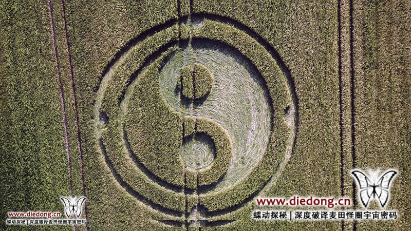 2020年5月30日英国Mid Wilts Way麦田怪圈