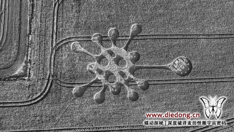 2020年5月28日英国Potterne Field麦田怪圈