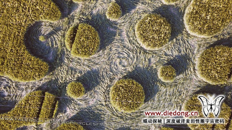 2020年5月28日英国Potterne Field麦田怪圈