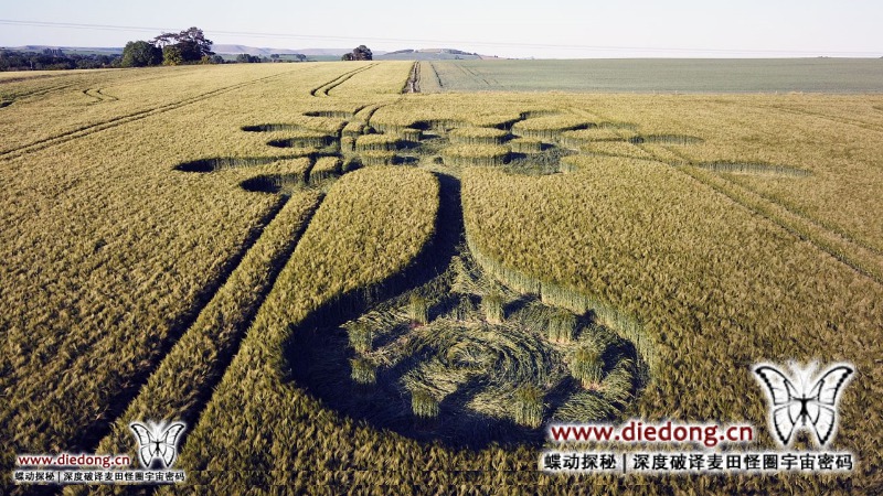 2020年5月28日英国Potterne Field麦田怪圈