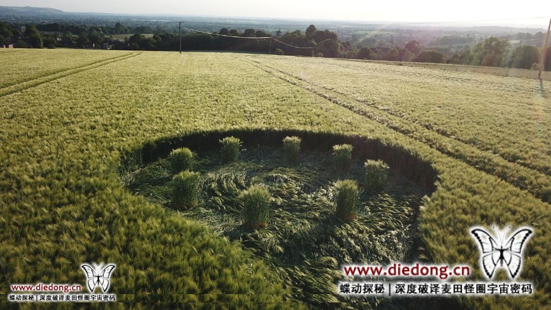 2020年5月28日英国Potterne Field麦田怪圈