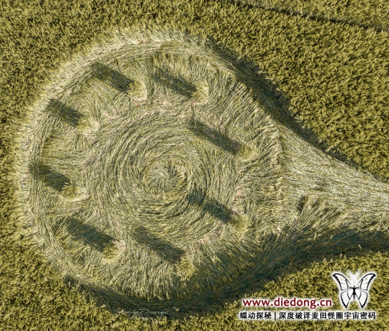 2020年5月28日英国Potterne Field麦田怪圈