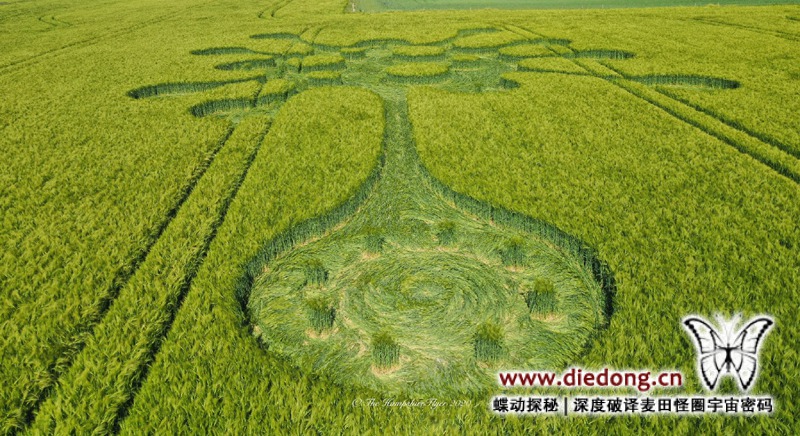2020年5月28日英国Potterne Field麦田怪圈
