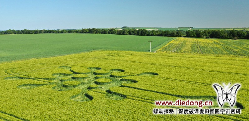2020年5月28日英国Potterne Field麦田怪圈