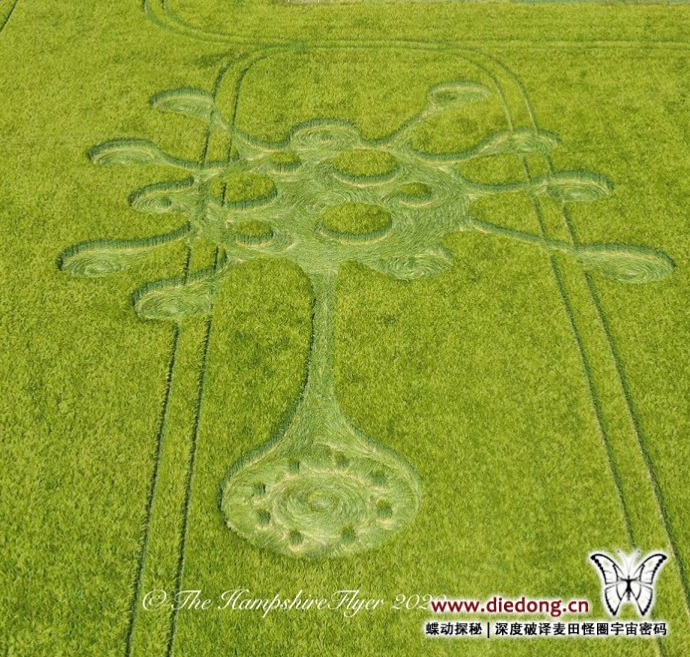 2020年5月28日英国Potterne Field麦田怪圈