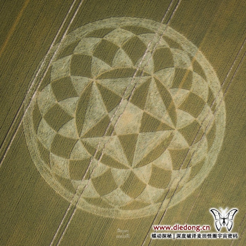 2020年6月29日英国Allan King Way麦田怪圈