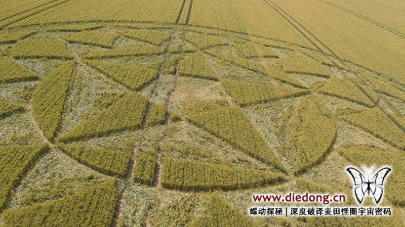 2020年6月29日英国Allan King Way麦田怪圈