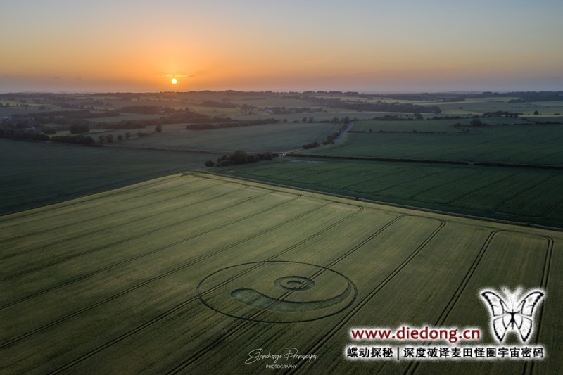 2020年6月21日英国Berwick Bassett Clump麦田怪圈