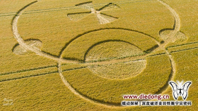 2020年6月17日英国Hunt's Down麦田怪圈