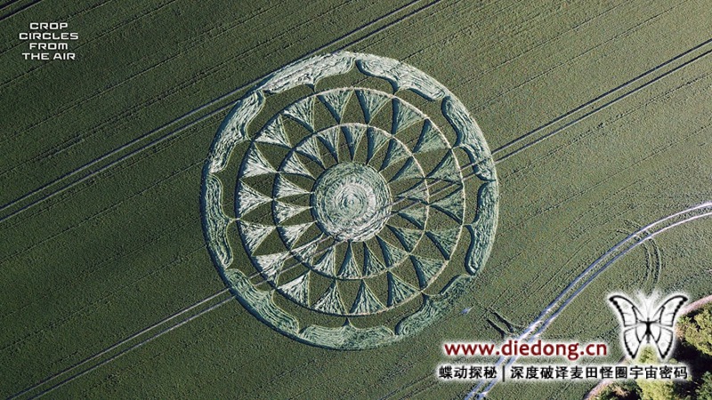 2020年6月25日英国Smeathe's Plantation麦田怪圈