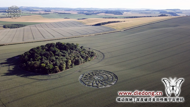 2020年6月25日英国Smeathe's Plantation麦田怪圈