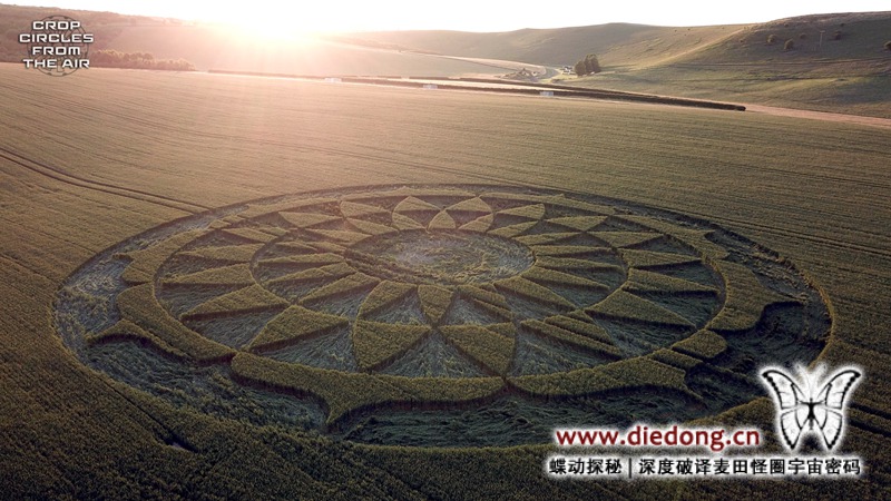 2020年6月25日英国Smeathe's Plantation麦田怪圈