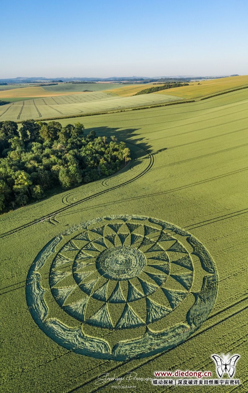 2020年6月25日英国Smeathe's Plantation麦田怪圈
