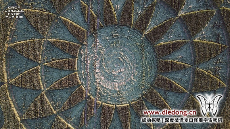 2020年6月25日英国Smeathe's Plantation麦田怪圈