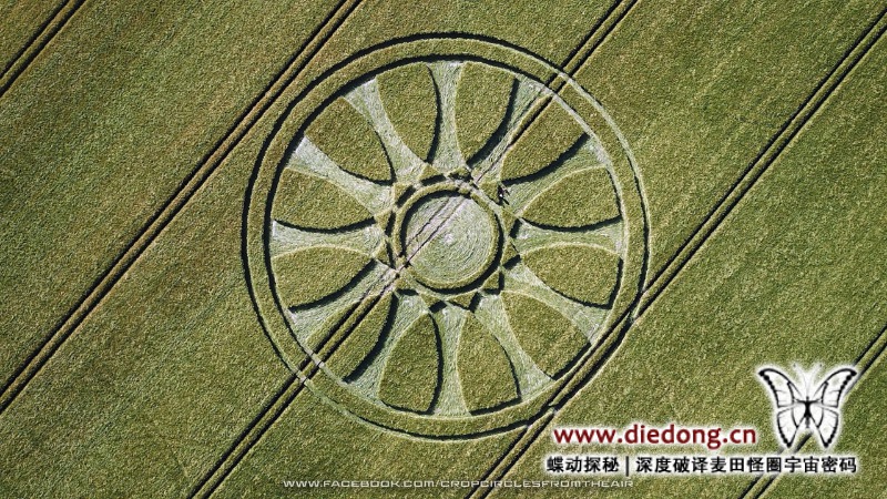 2020年6月14日英国Wiltshire at Barbury Castle麦田怪圈