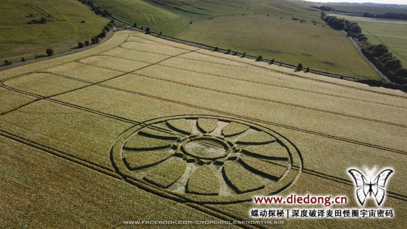2020年6月14日英国Wiltshire at Barbury Castle麦田怪圈