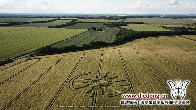 2020年6月14日英国Wiltshire at Barbury Castle麦田怪圈