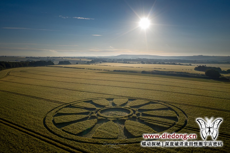 2020年6月14日英国Wiltshire at Barbury Castle麦田怪圈