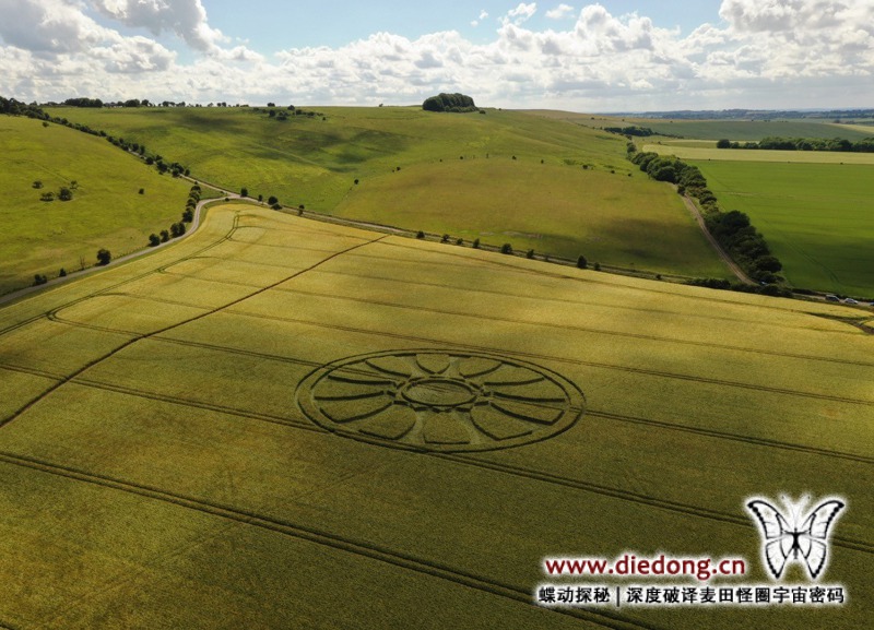 2020年6月14日英国Wiltshire at Barbury Castle麦田怪圈