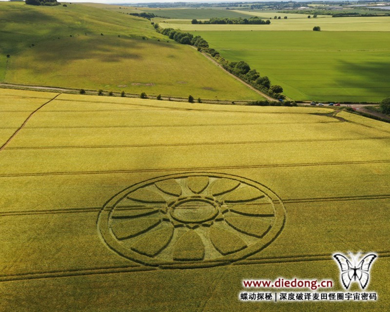 2020年6月14日英国Wiltshire at Barbury Castle麦田怪圈