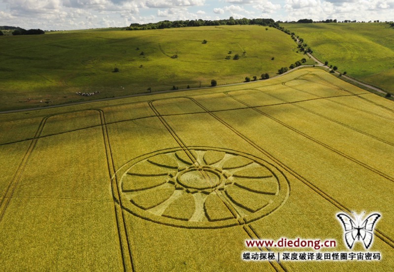 2020年6月14日英国Wiltshire at Barbury Castle麦田怪圈