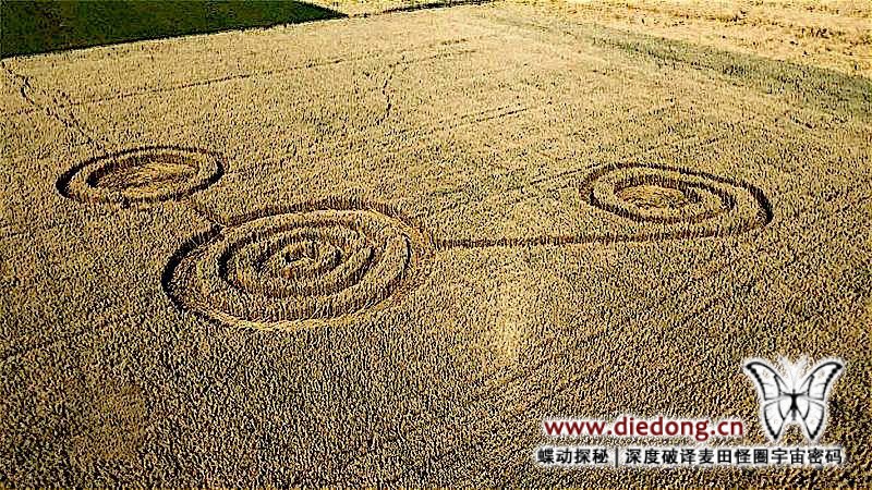 2020年7月13日俄罗斯Berezovaya Roshcha Alleya麦田怪圈