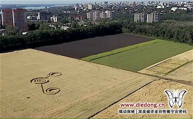 2020年7月13日俄罗斯Berezovaya Roshcha Alleya麦田怪圈