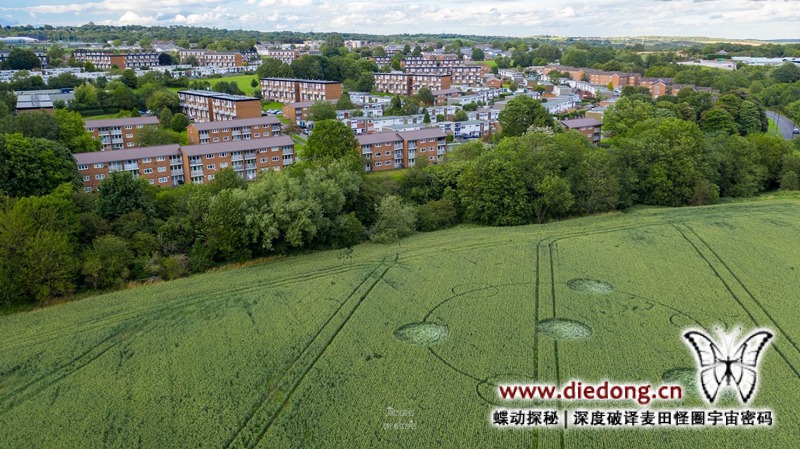 2020年7月29日英国Batemoor麦田怪圈