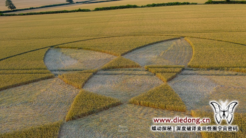 2020年7月22日英国Scrubbs Lane麦田怪圈