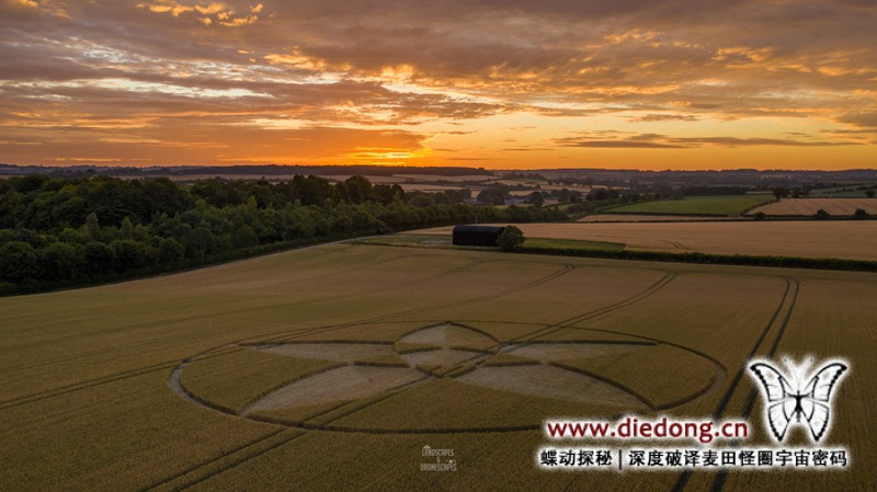 2020年7月22日英国Scrubbs Lane麦田怪圈