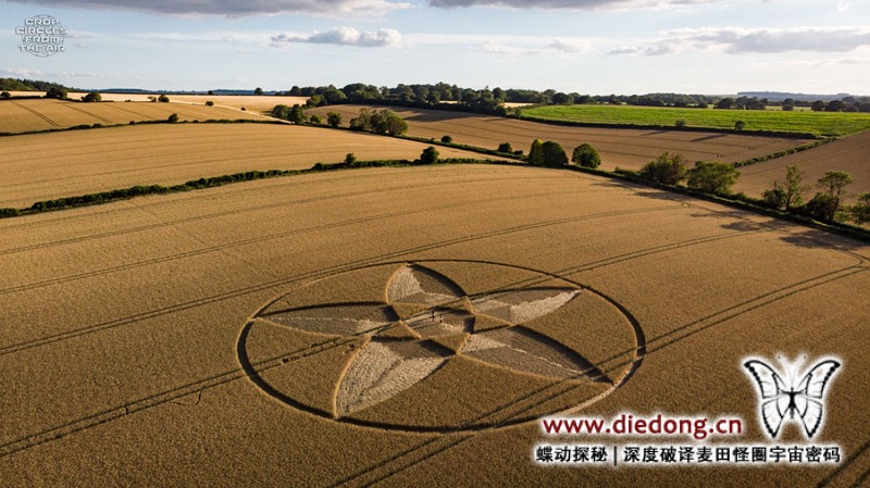 2020年7月22日英国Scrubbs Lane麦田怪圈