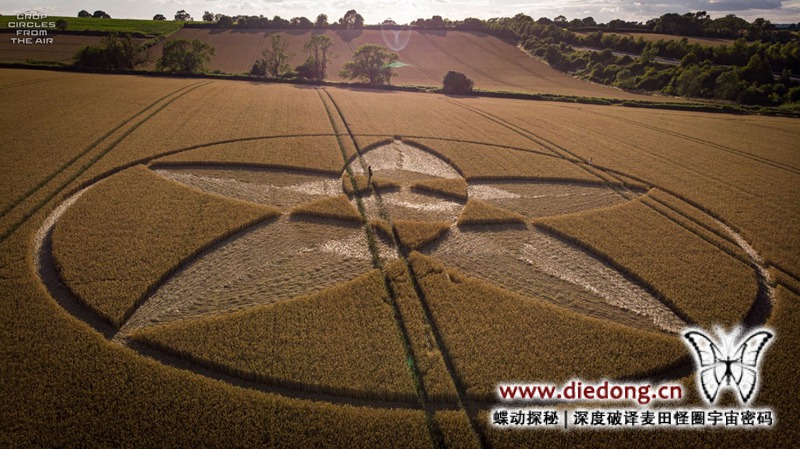 2020年7月22日英国Scrubbs Lane麦田怪圈