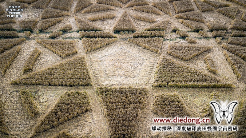 2020年7月23日英国The Ridgeway麦田怪圈
