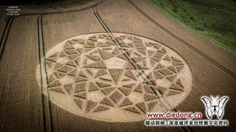 2020年7月23日英国The Ridgeway麦田怪圈