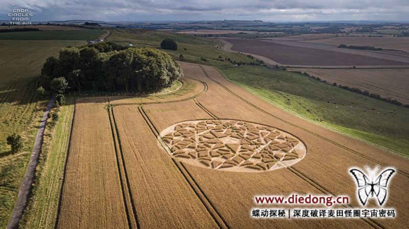 2020年7月23日英国The Ridgeway麦田怪圈