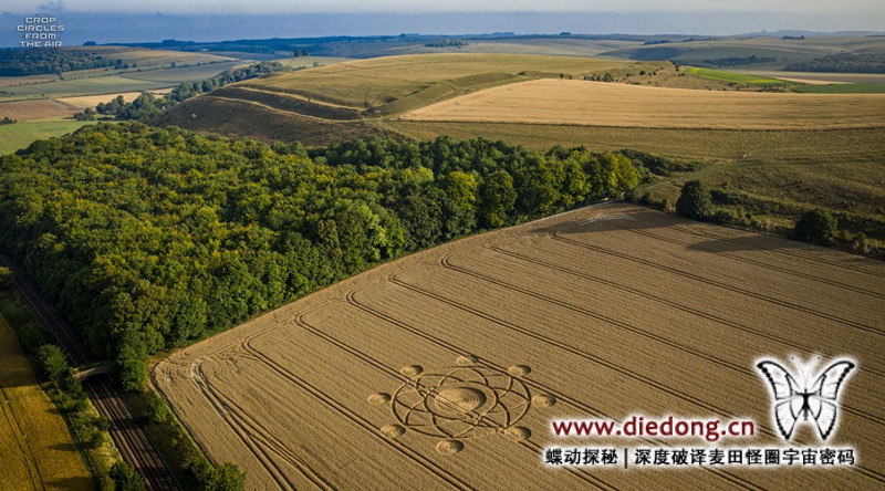 2020年8月7日英国Norton Plantation麦田怪圈