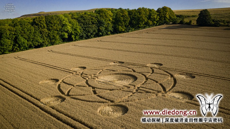 2020年8月7日英国Norton Plantation麦田怪圈