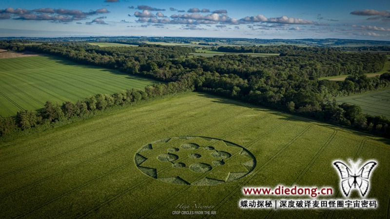2021年6月8日英国Barton Stacey Belt麦田怪圈