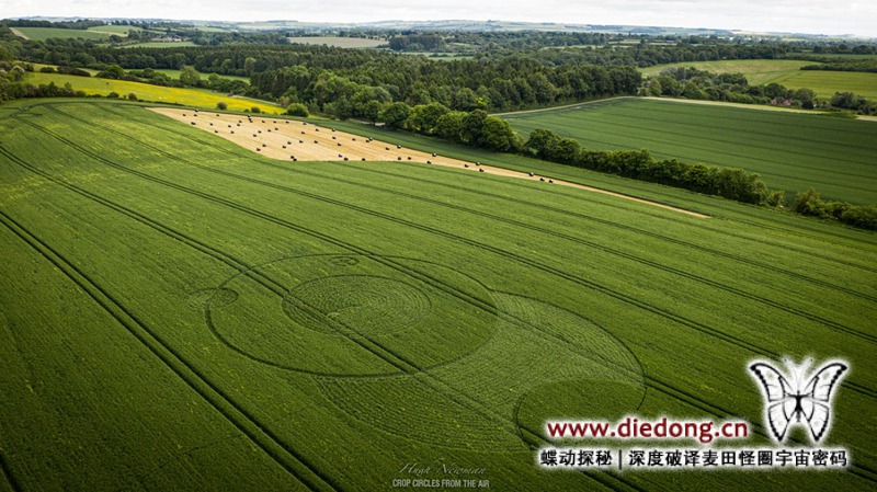 2021年6月9日英国Mud Lane麦田怪圈