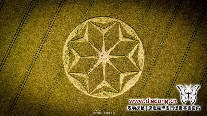 2021年6月21日英国Rodfield Lane麦田怪圈