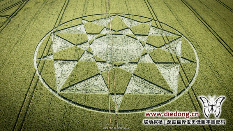 2021年7月4日英国Longwood Warren麦田怪圈