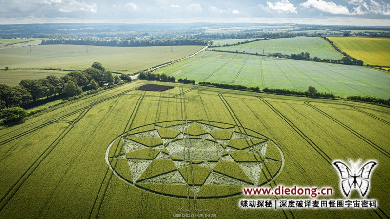 2021年7月4日英国Longwood Warren麦田怪圈