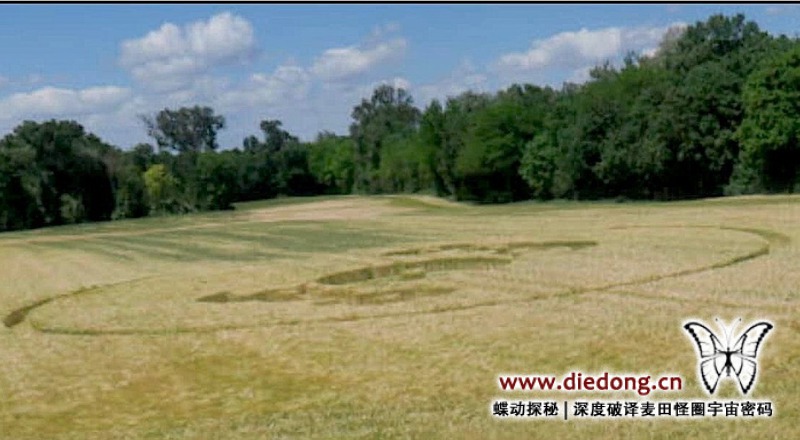 2022年5月30日法国Saint Denis en Bugey麦田怪圈