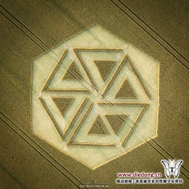 2022年7月9日英国Cake Wood麦田怪圈