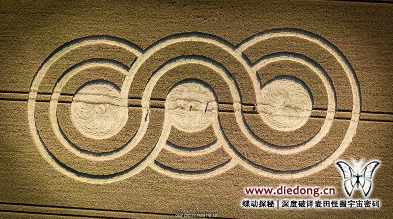 2022年7月14日英国Lay Wood麦田怪圈